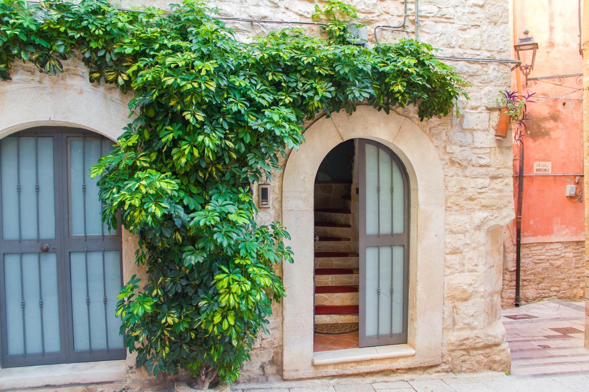 Palo Del Colle Ierva Chiain, Guest House Ngoại thất bức ảnh